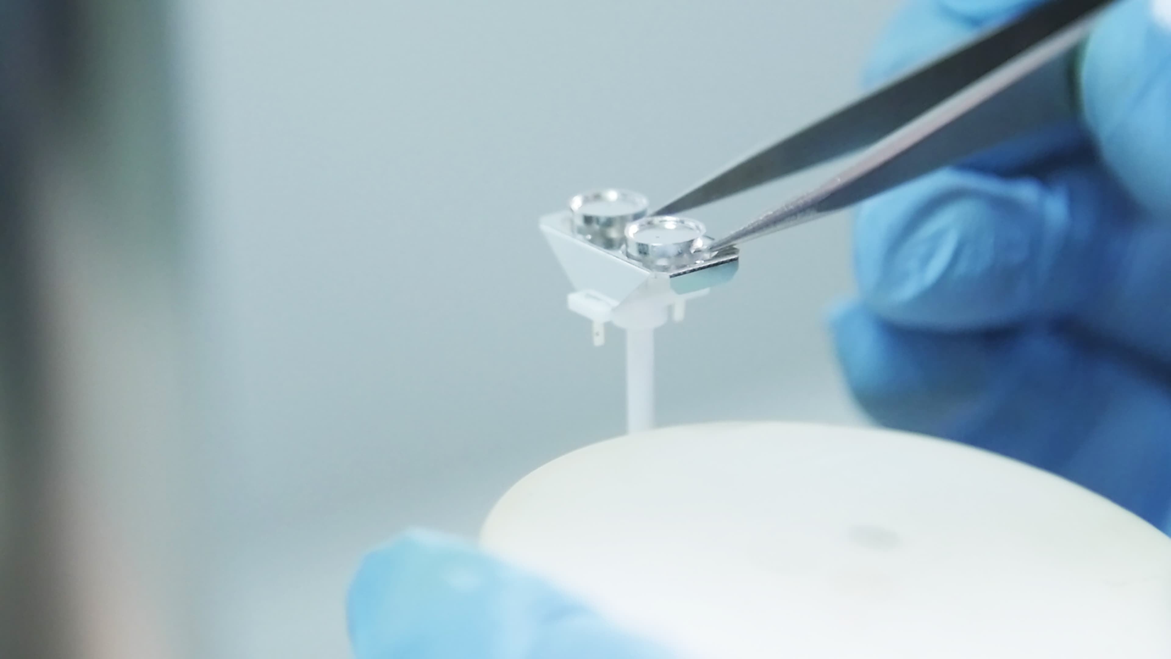 00 Corte 4 link media.00_04_42_10.Still005.jpg