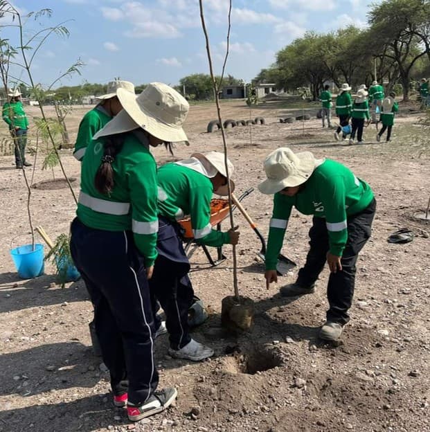 Sustainability-image-1